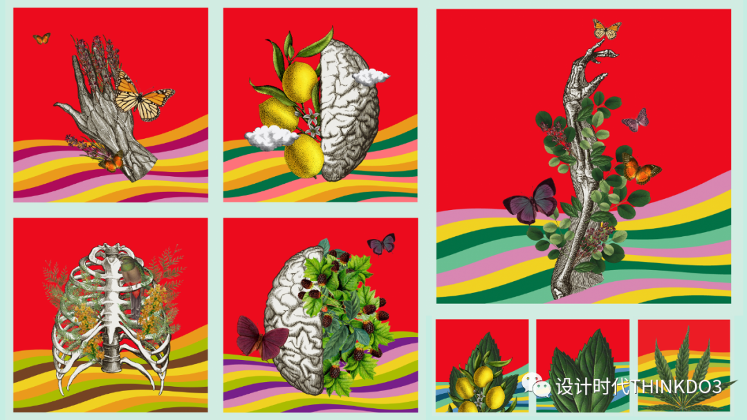Dieline Awards<a href=http://edabuilding.com/sheji/baozhuang/ target=_blank class=infotextkey>包裝</a><a href=http://edabuilding.com/ target=_blank class=infotextkey>設(shè)計</a>獎 2022年度獲獎作品
