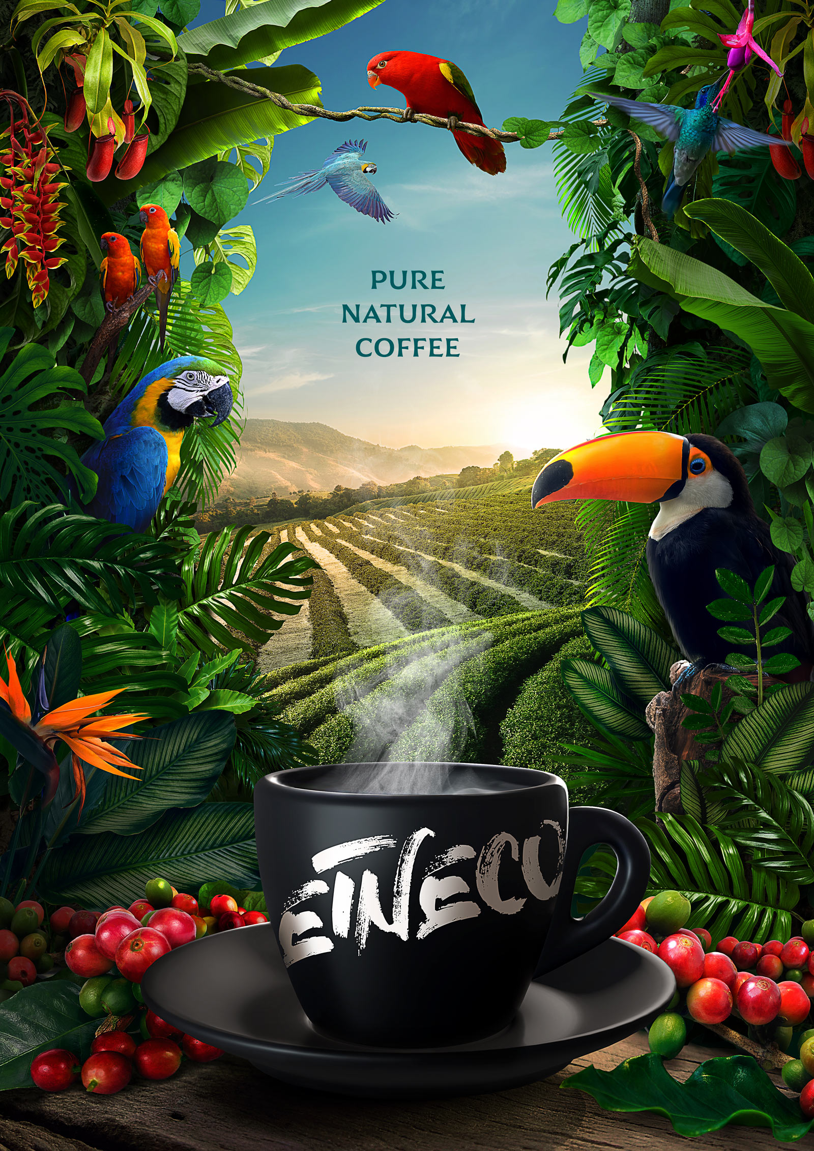 Etneco<a href=http://edabuilding.com/sheji/baozhuang/ target=_blank class=infotextkey>b</a><a href=http://edabuilding.com/ target=_blank class=infotextkey>O(sh)Ӌ(j)</a>