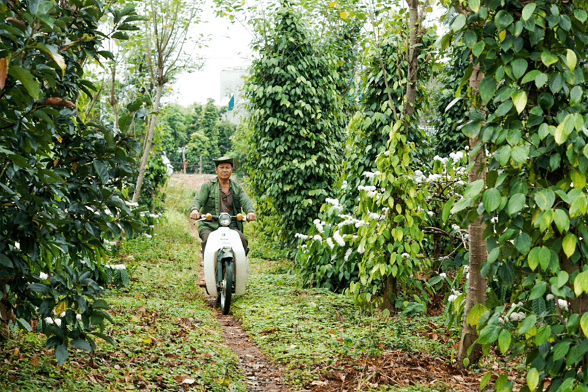 NAM CoffeeƷ<a href=http://edabuilding.com/sheji/baozhuang/ target=_blank class=infotextkey>b</a><a href=http://edabuilding.com/ target=_blank class=infotextkey>OӋ</a>