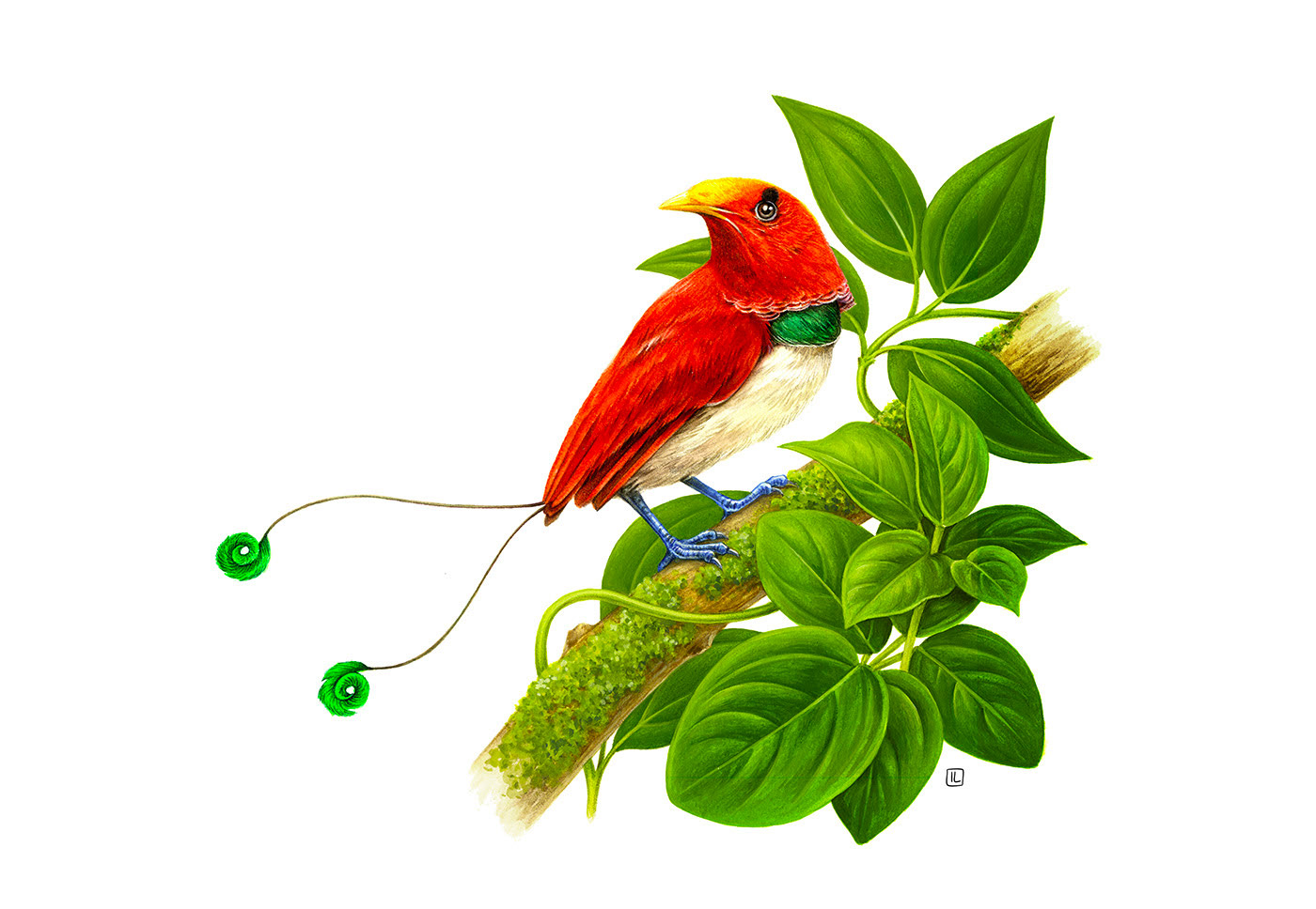 <a href=http://edabuilding.com/sheji/chahua/ target=_blank class=infotextkey>宋</a>Irene LaschiL<a href=http://edabuilding.com/sheji/chahua/ target=_blank class=infotextkey>宋</a>Ʒ