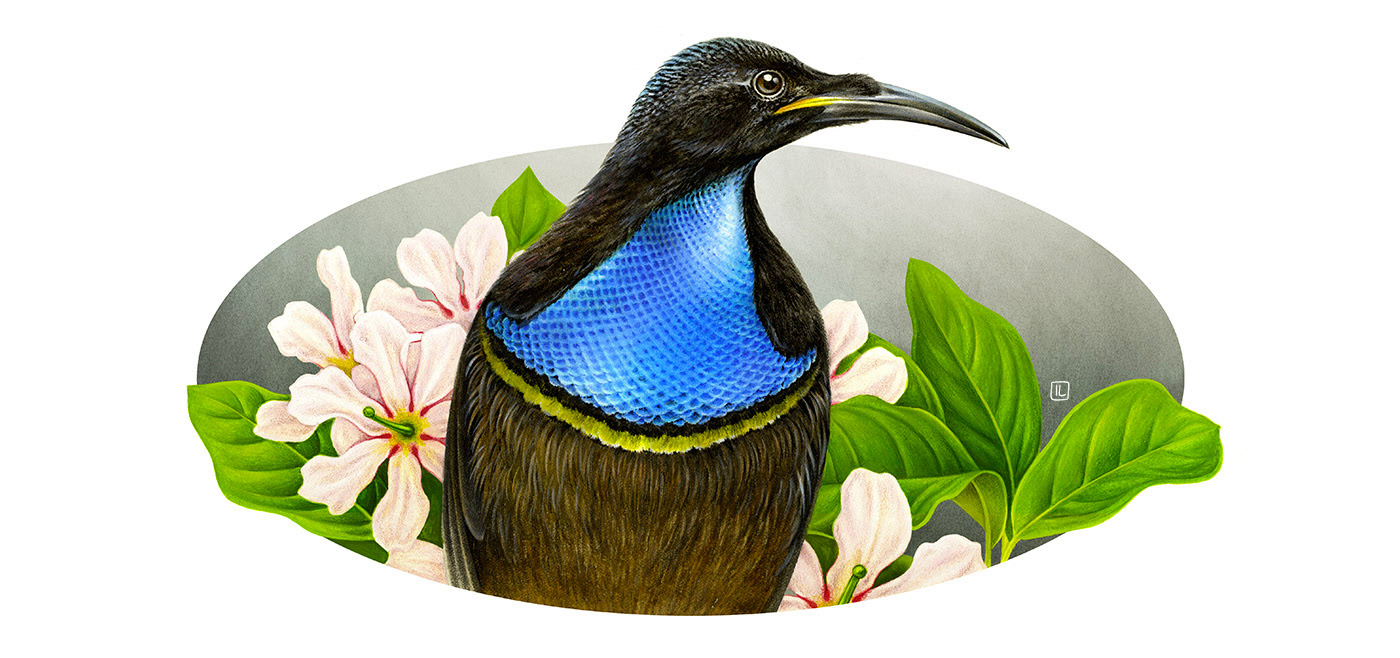 <a href=http://edabuilding.com/sheji/chahua/ target=_blank class=infotextkey>宋</a>Irene LaschiL<a href=http://edabuilding.com/sheji/chahua/ target=_blank class=infotextkey>宋</a>Ʒ