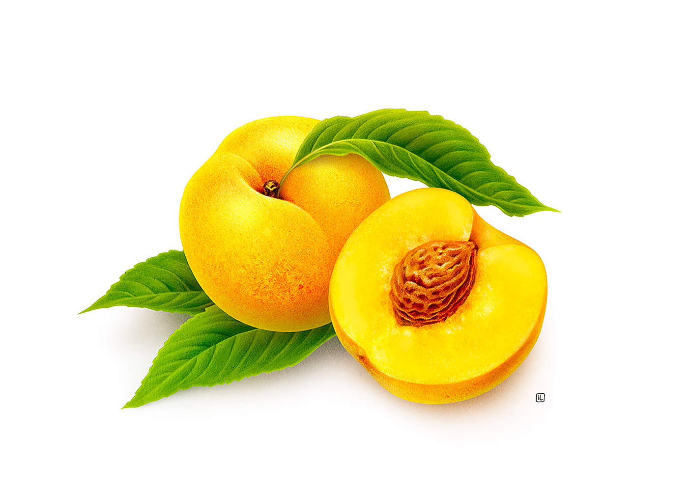 <a href=http://edabuilding.com/sheji/chahua/ target=_blank class=infotextkey>宋</a>Irene LaschiL<a href=http://edabuilding.com/sheji/chahua/ target=_blank class=infotextkey>宋</a>Ʒ