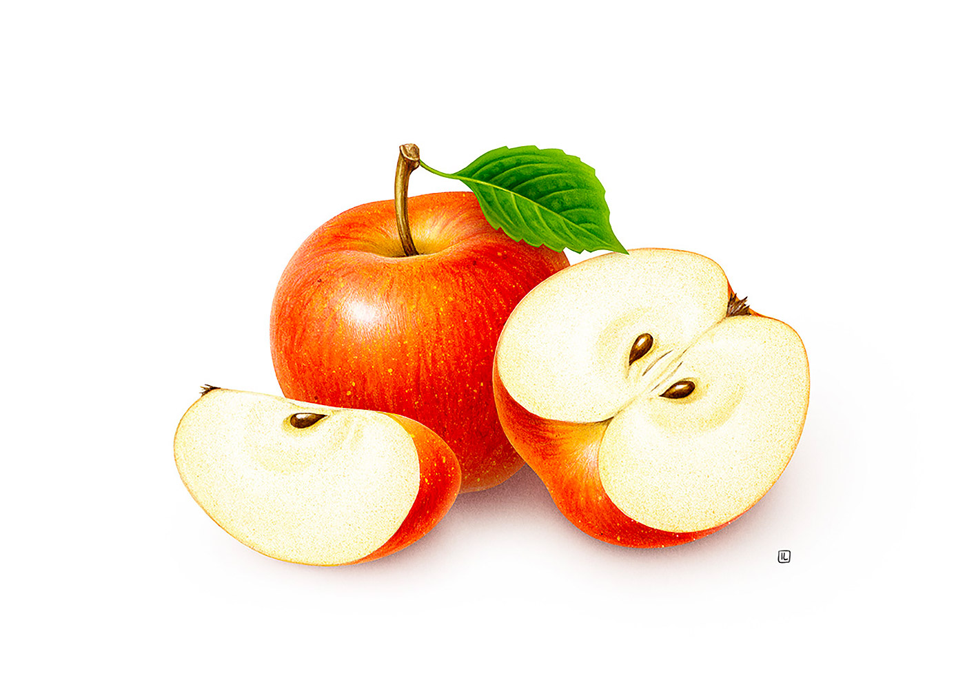 <a href=http://edabuilding.com/sheji/chahua/ target=_blank class=infotextkey>宋</a>Irene LaschiL<a href=http://edabuilding.com/sheji/chahua/ target=_blank class=infotextkey>宋</a>Ʒ